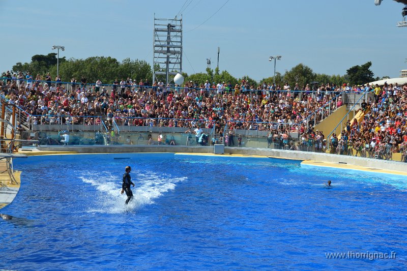 Marineland aout 2014 45.JPG - Marineland - Parc d'attractions aquatiques - Antibes - Août 2014